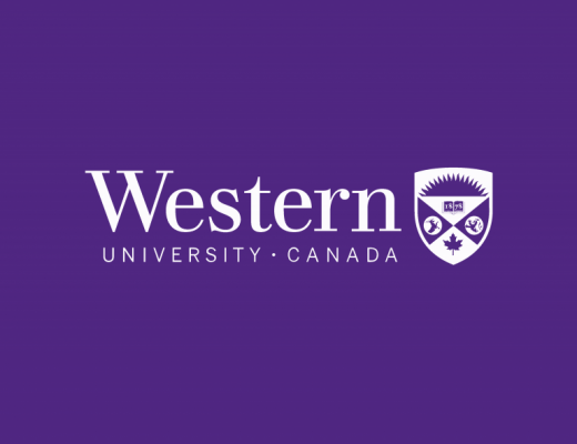 لوگو بنفش برای کدام کسب و کارها مناسب است؟ لوگو بنفش برای کدام کسب و کارها مناسب است؟