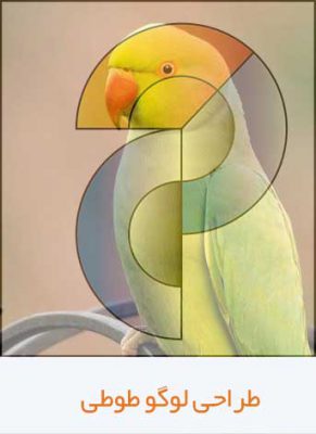 آموزش طراحی لوگو طوطی